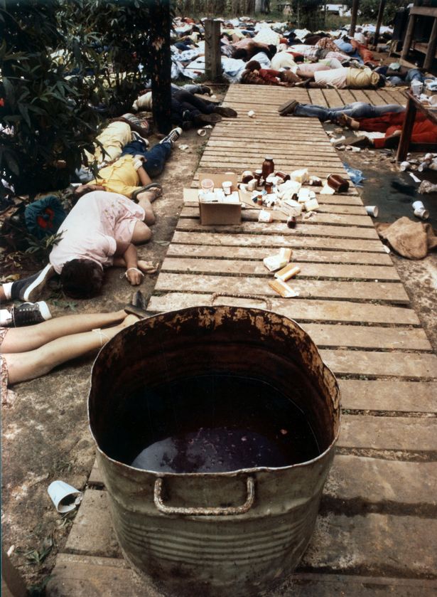 900 people died in jonestown mass suicide