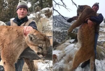 Hunters Illegally Killed Mountain Lion In Protected Area, Arrested After Bragging About It On Facebook