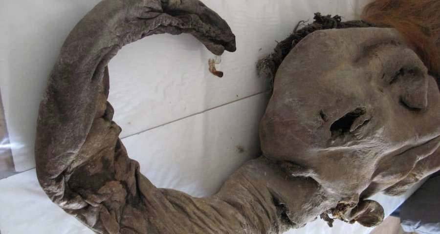 28,000-Year-Old Woolly Mammoth