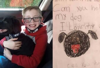 boy sold pokemon cards to pay his dogs vet's bill