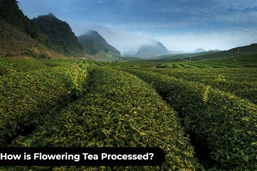 how is flowering tea processed 