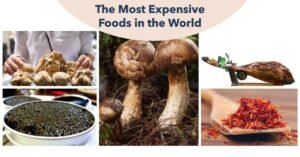 10 Most Expensive Food Items in the World