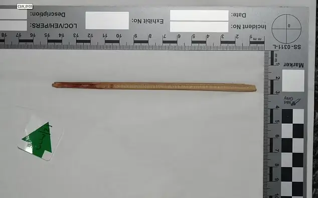 Police revealed the bamboo cane used by Robinson to beat her son Dwelaniyah

